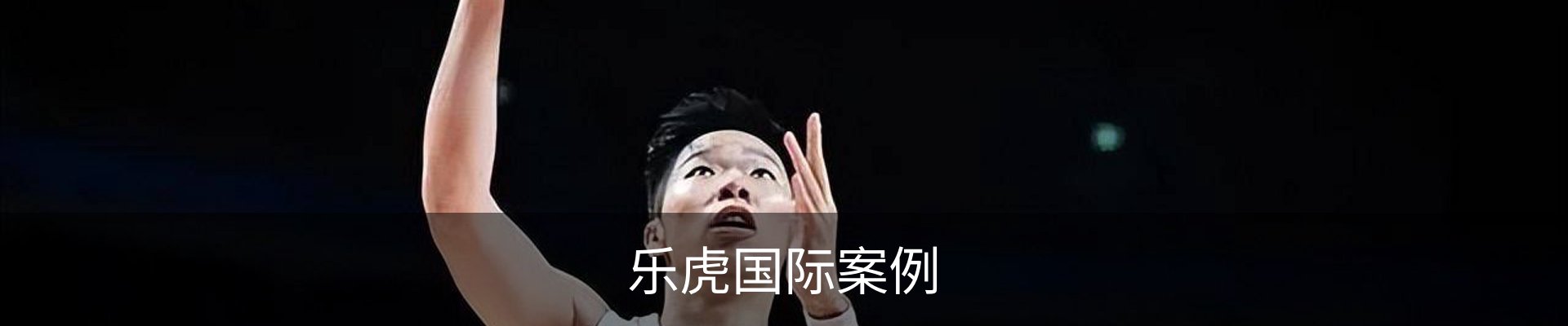 乐虎国际案例