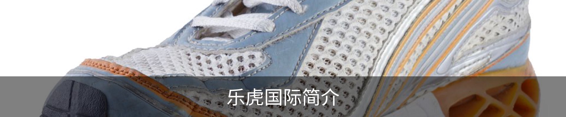 乐虎国际简介