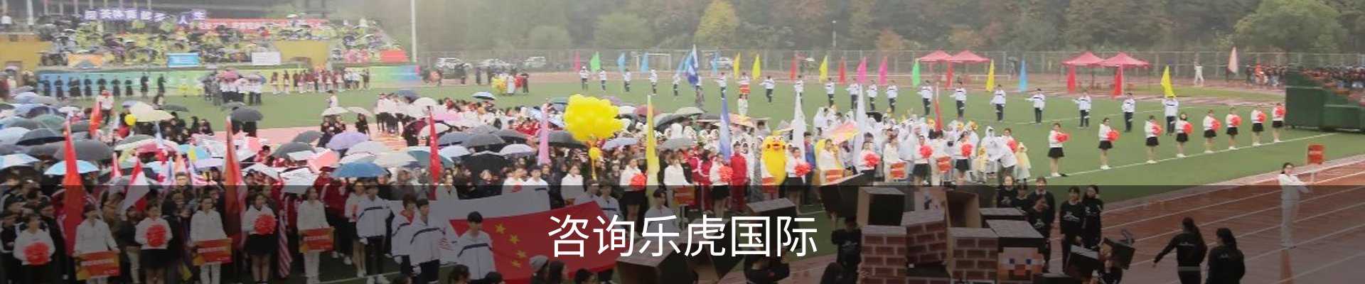 咨询乐虎国际